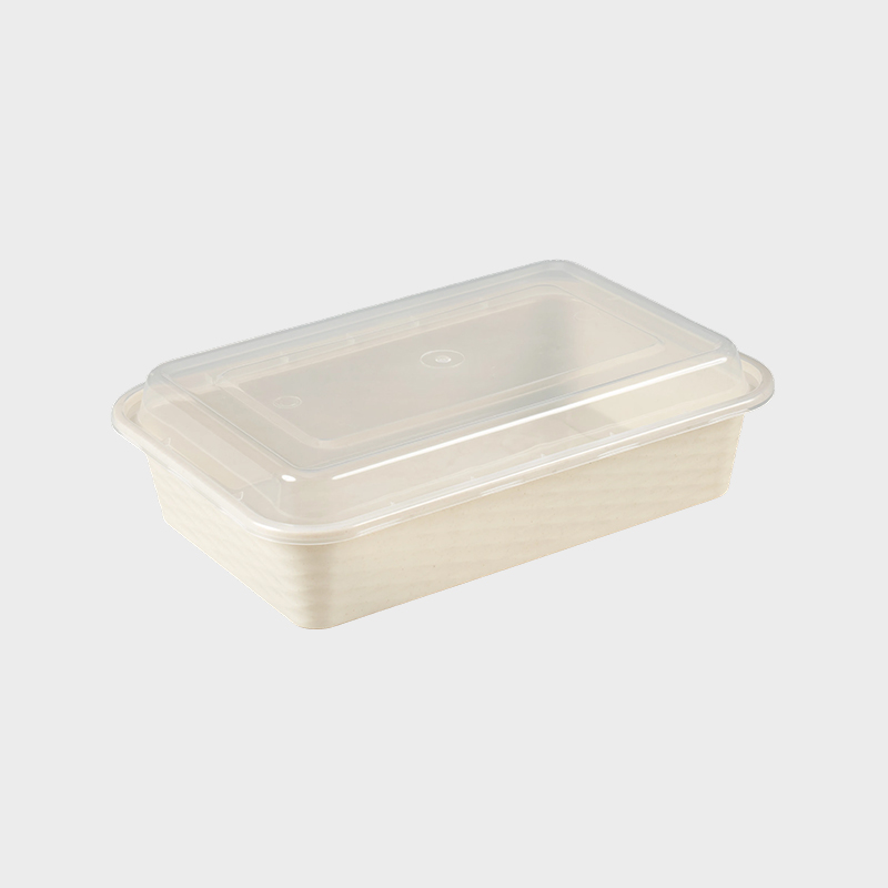 Caixa plástica para alimentos com tampa transparente e base preta PFK001