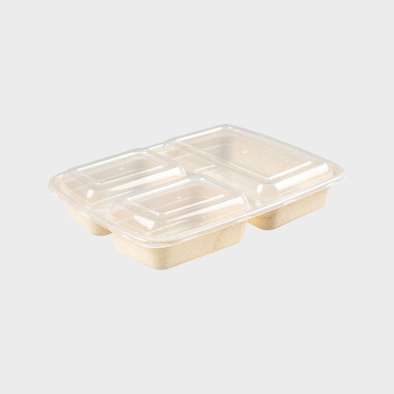 Caixa Bento de Três Compartimentos PFK004/PFK003